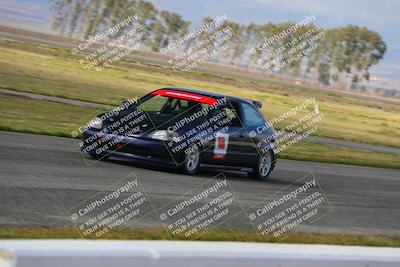 media/Mar-30-2025-Speed Ventures (Sun) [[39e6b1441d]]/Yellow/Front Straight/